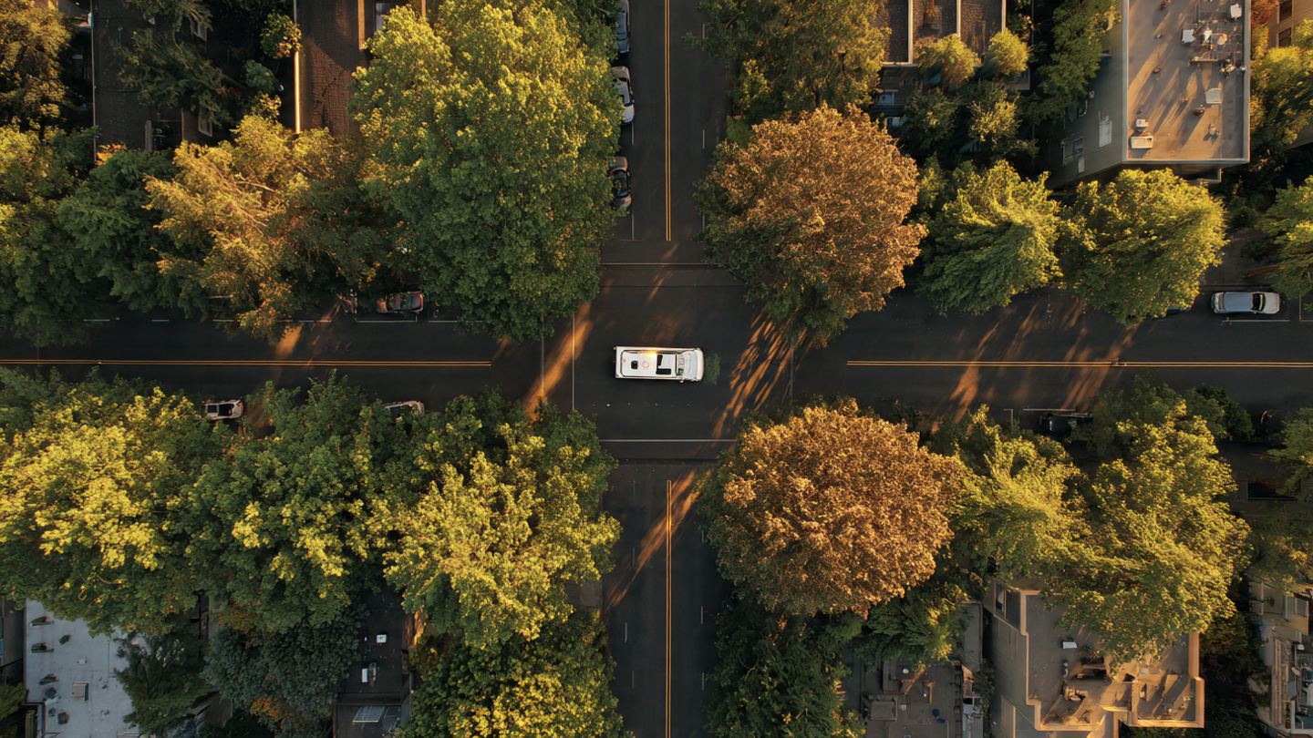 Overhead view of city street with municipal fleet vehicle under mixed-health tree canopy